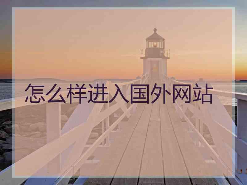 怎么样进入国外网站