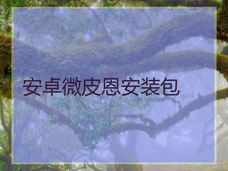安卓微皮恩安装包
