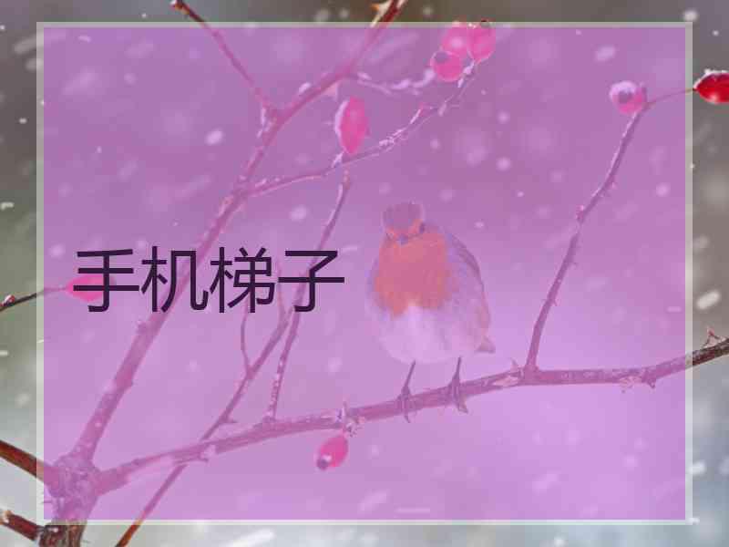 手机梯子