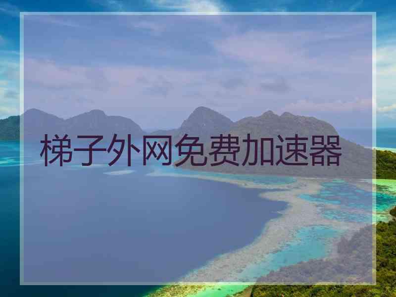 梯子外网免费加速器