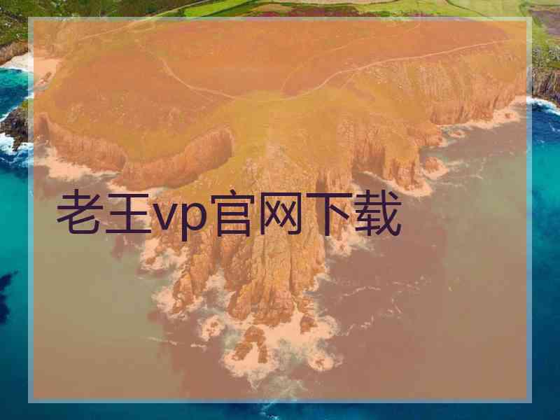 老王vp官网下载