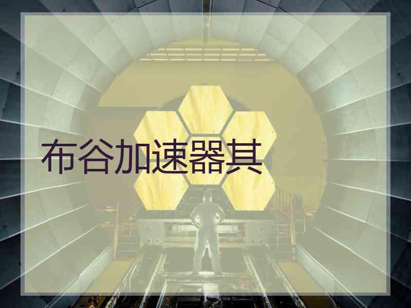 布谷加速器其