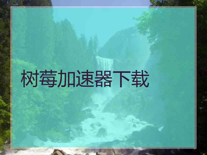 树莓加速器下载