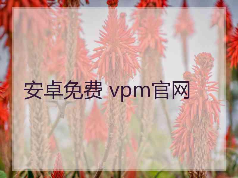 安卓免费 vpm官网