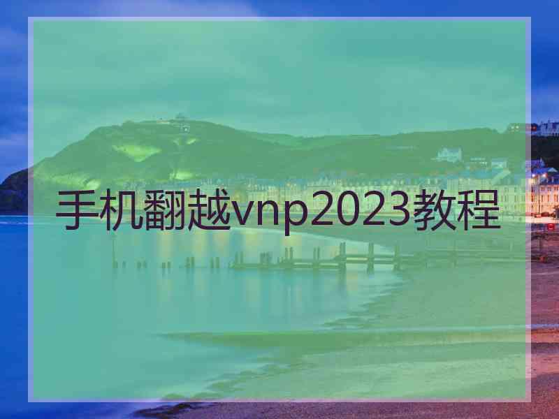 手机翻越vnp2023教程