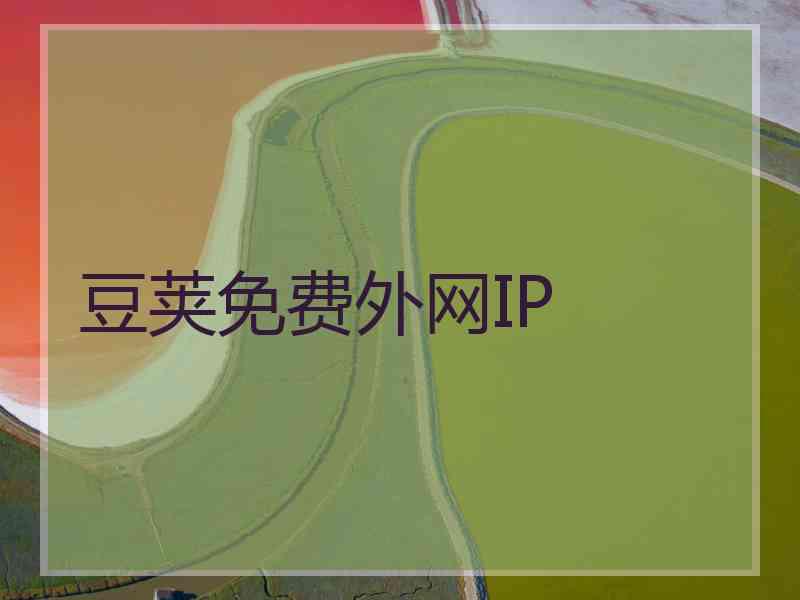 豆荚免费外网IP