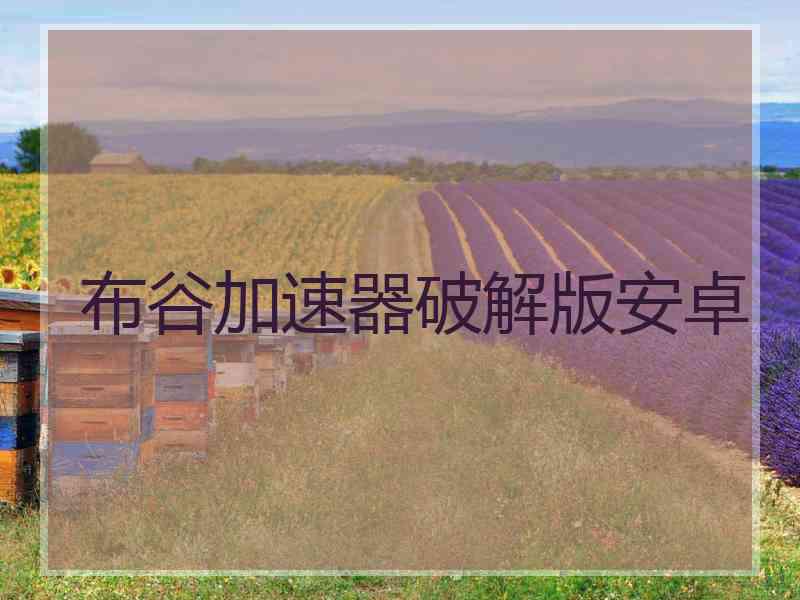 布谷加速器破解版安卓