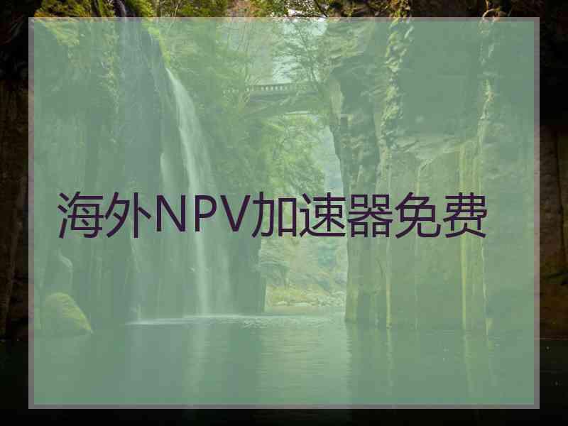 海外NPV加速器免费