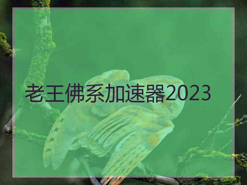 老王佛系加速器2023