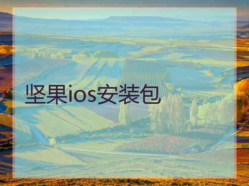 坚果ios安装包