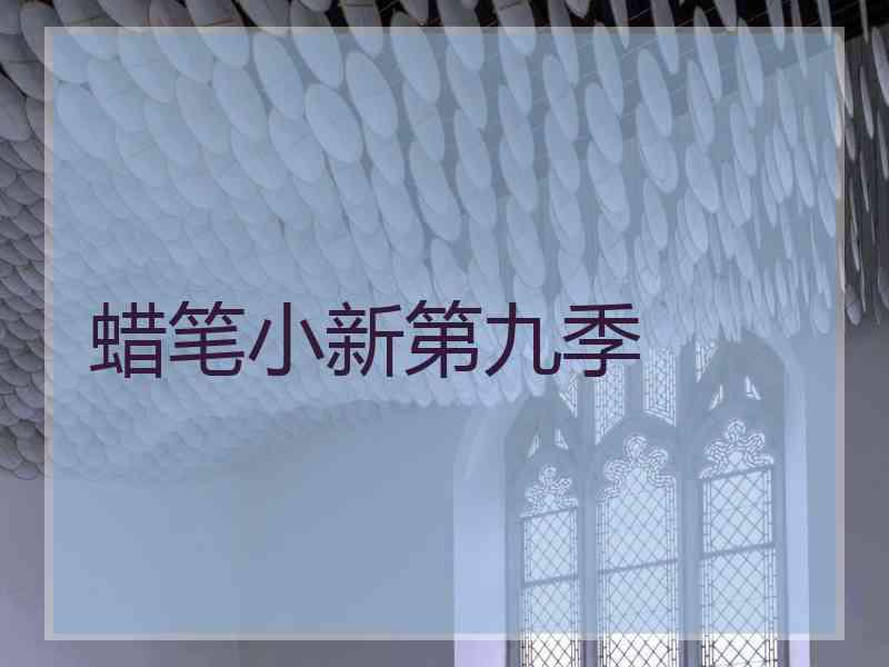 蜡笔小新第九季