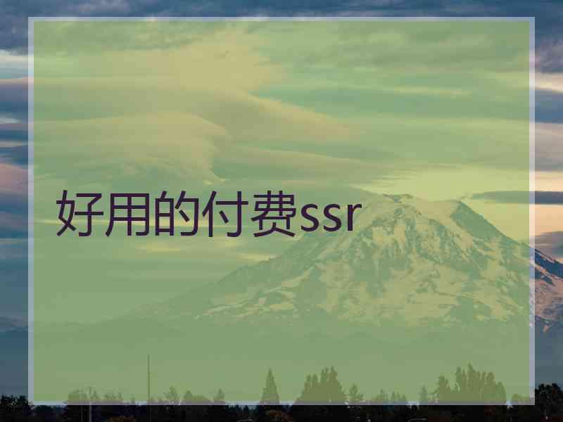 好用的付费ssr