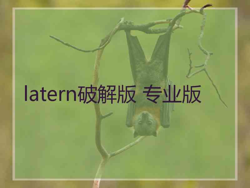 latern破解版 专业版
