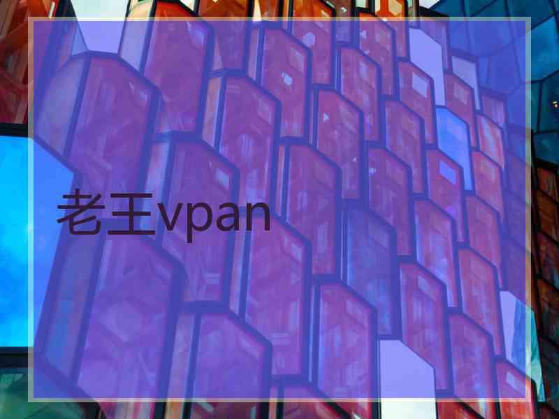 老王vpan