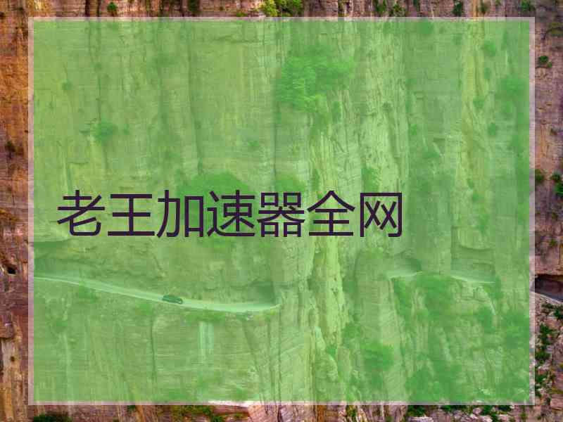 老王加速器全网