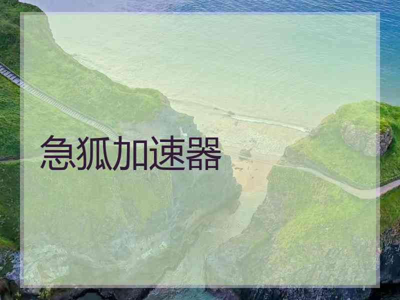 急狐加速器