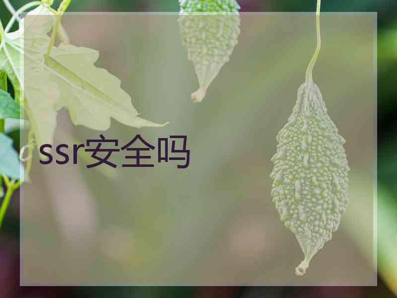 ssr安全吗