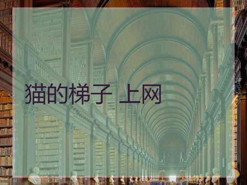 猫的梯子 上网