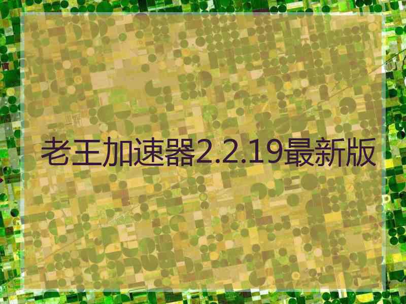 老王加速器2.2.19最新版