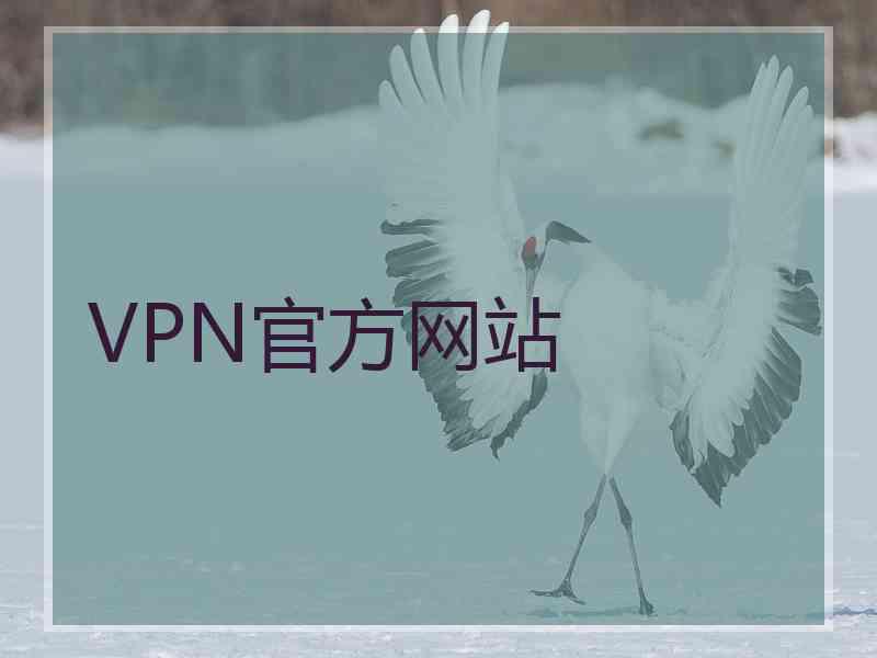 VPN官方网站