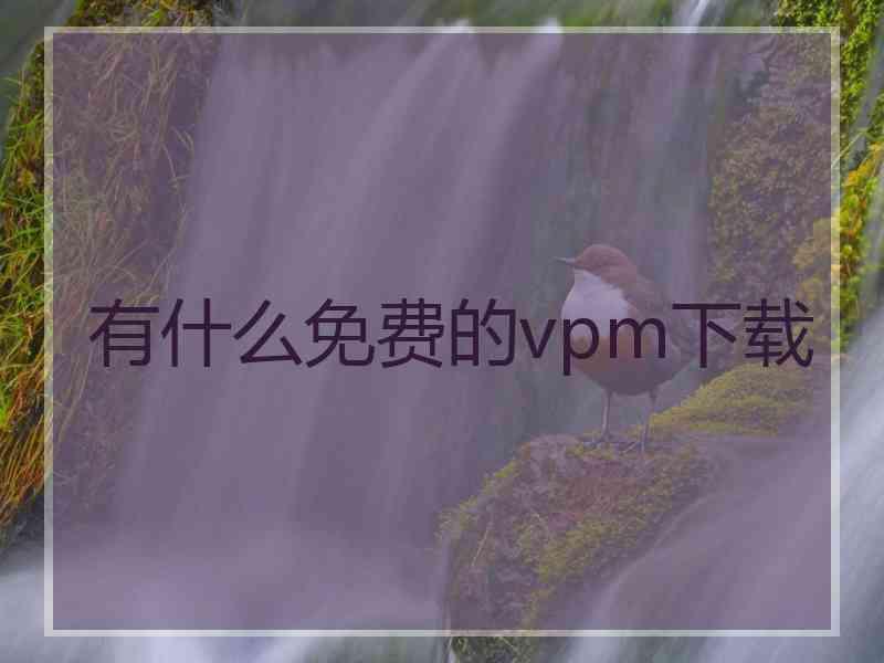 有什么免费的vpm下载