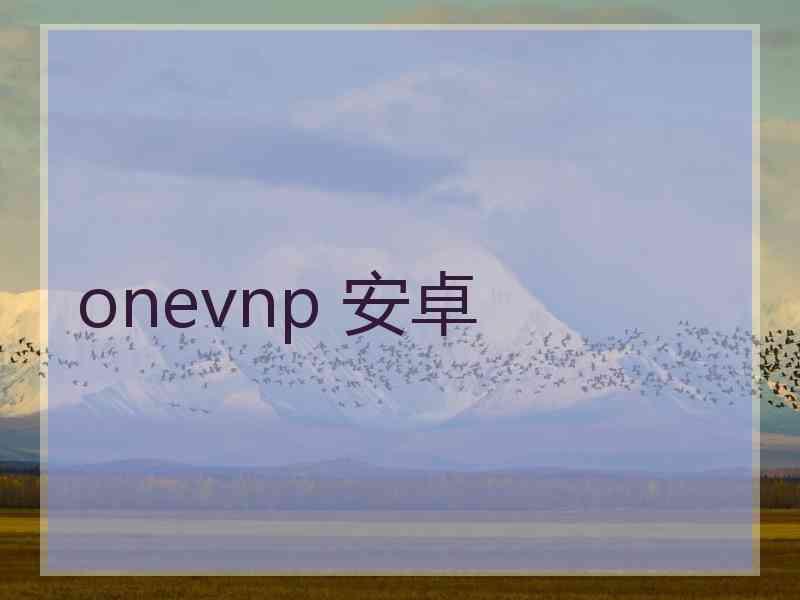 onevnp 安卓
