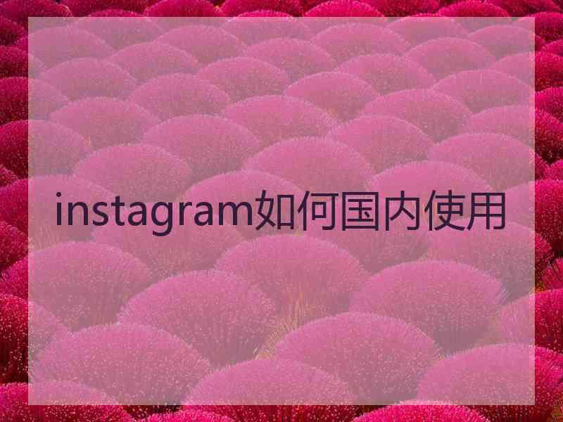 instagram如何国内使用