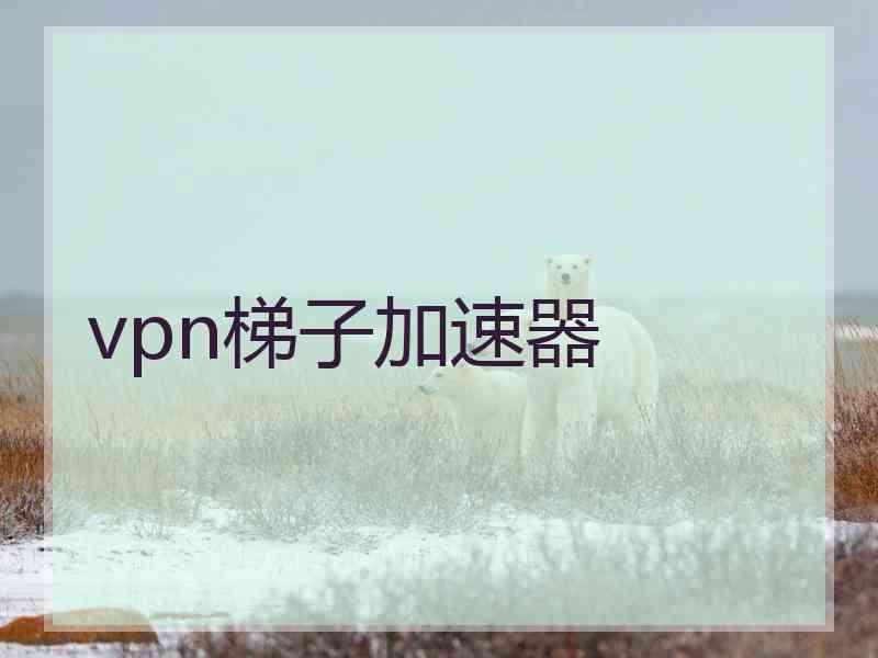 vpn梯子加速器