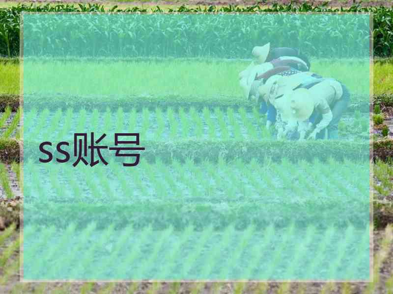 ss账号