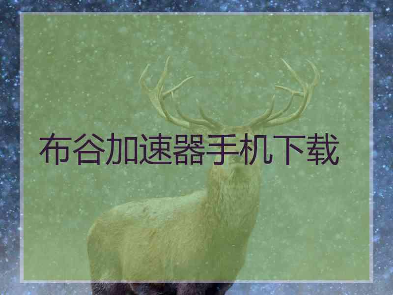 布谷加速器手机下载