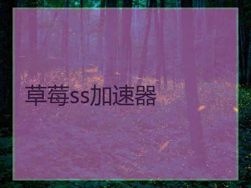 草莓ss加速器