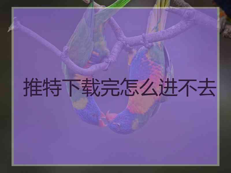 推特下载完怎么进不去