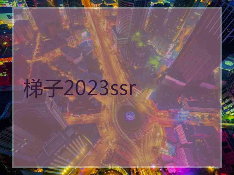 梯子2023ssr