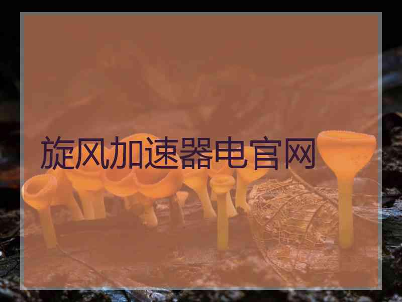 旋风加速器电官网