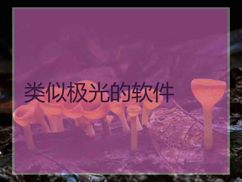 类似极光的软件