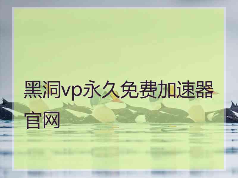 黑洞vp永久免费加速器官网