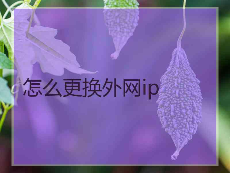 怎么更换外网ip