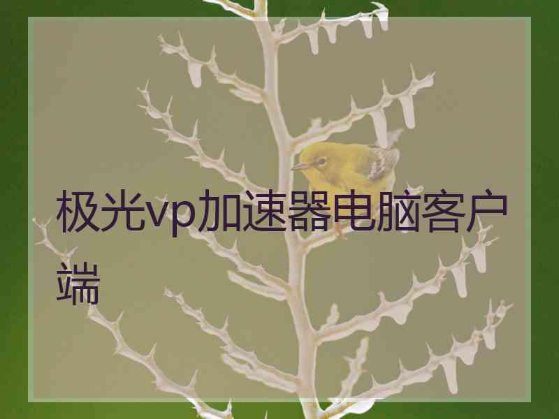 极光vp加速器电脑客户端