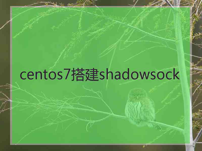 centos7搭建shadowsock