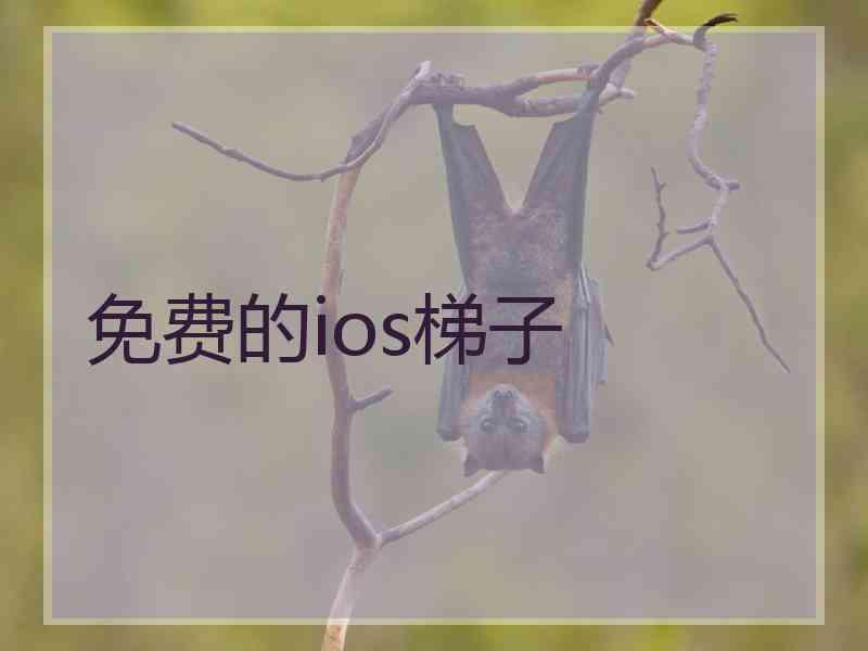 免费的ios梯子