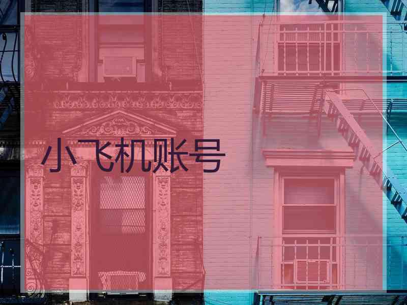 小飞机账号