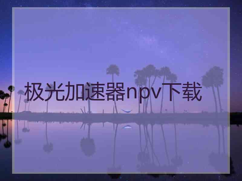 极光加速器npv下载