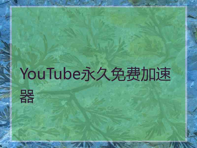 YouTube永久免费加速器