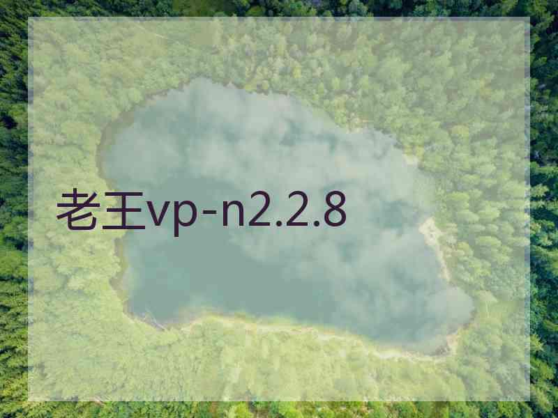 老王vp-n2.2.8