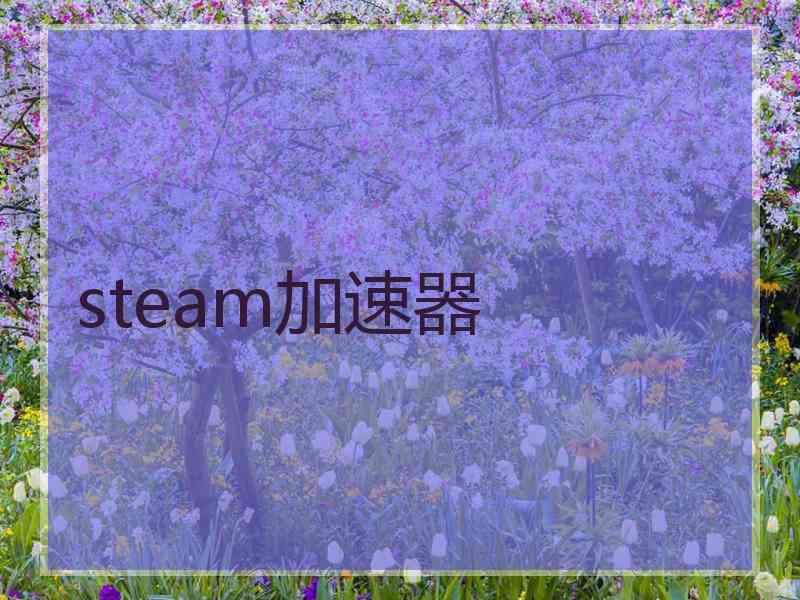 steam加速器