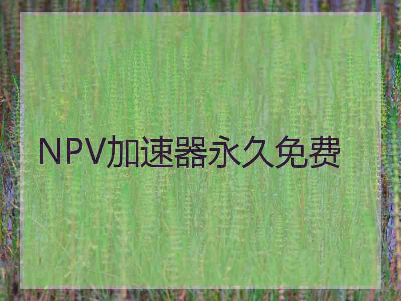 NPV加速器永久免费