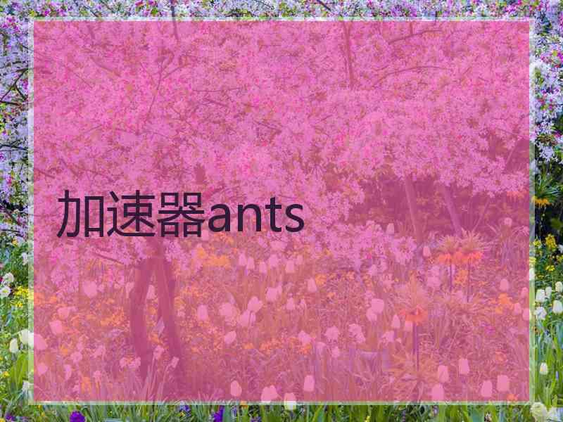 加速器ants