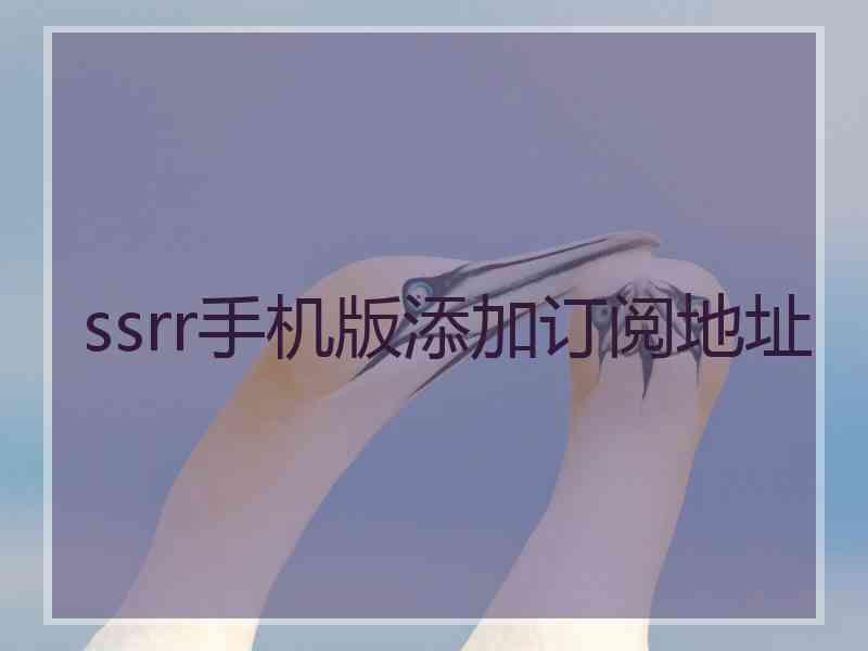ssrr手机版添加订阅地址