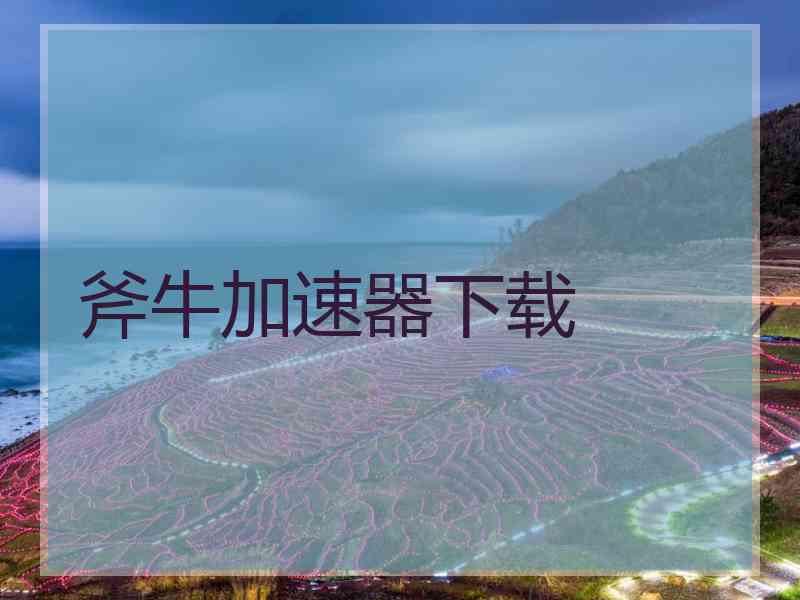 斧牛加速器下载