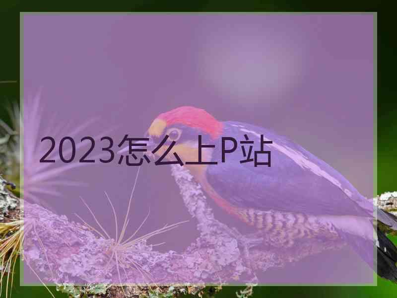 2023怎么上P站